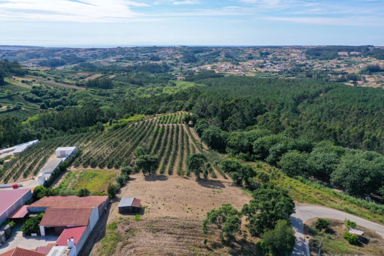 Terreno para Venda em Vimeiro Foto 5
