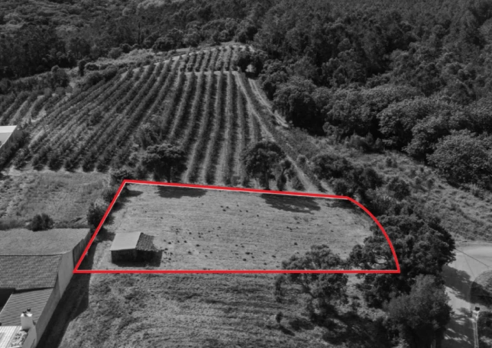 Terreno para Venda em Vimeiro Planta 1