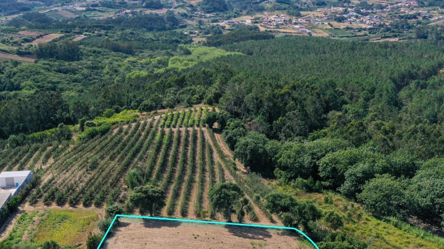 Terreno para Venda em Vimeiro