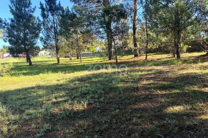 Terreno para Venda em Gavião