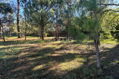 Terreno para Venda em Gavião