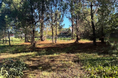Terreno para Venda em Gavião