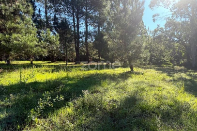 Terreno para Venda em Gavião