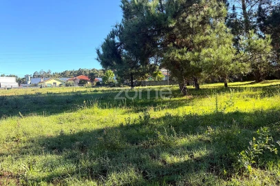 Terreno para Venda em Gavião