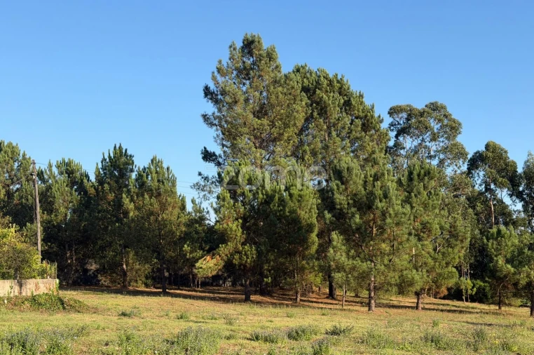 Terreno para Venda em Gavião Foto 8
