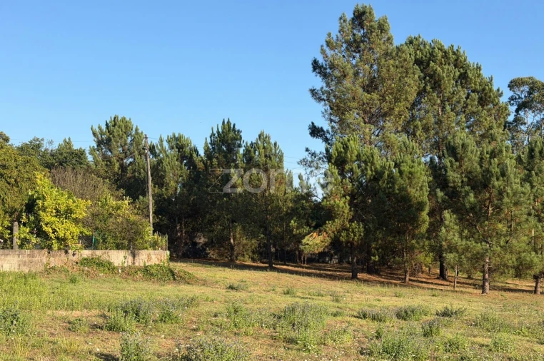 Terreno para Venda em Gavião Foto 7