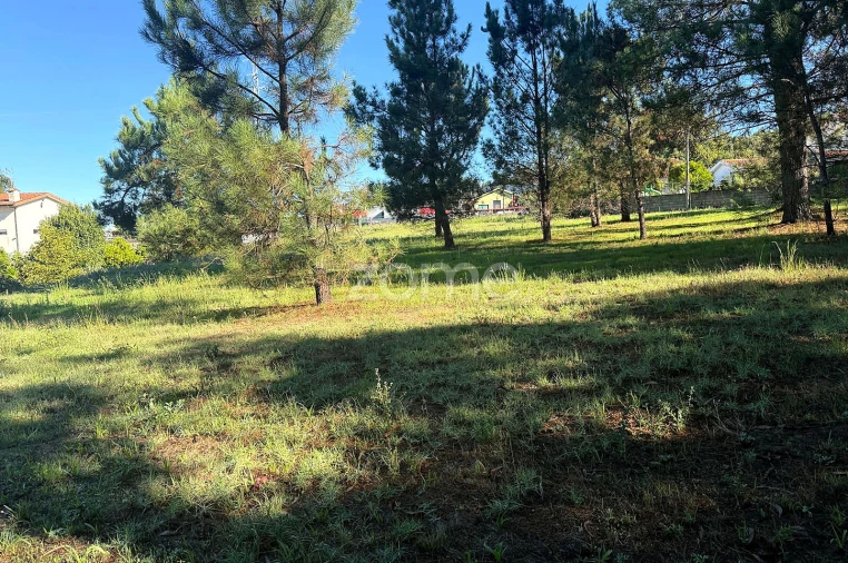 Terreno para Venda em Gavião Foto 4