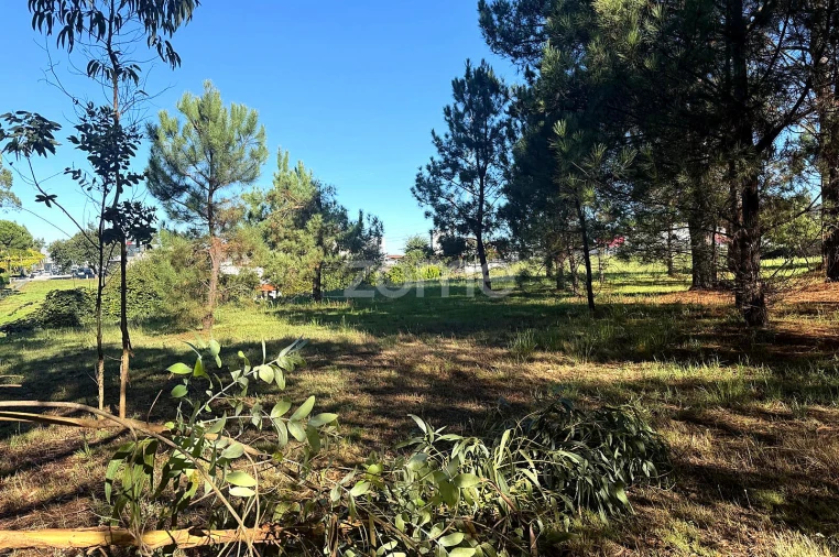 Terreno para Venda em Gavião Foto 11