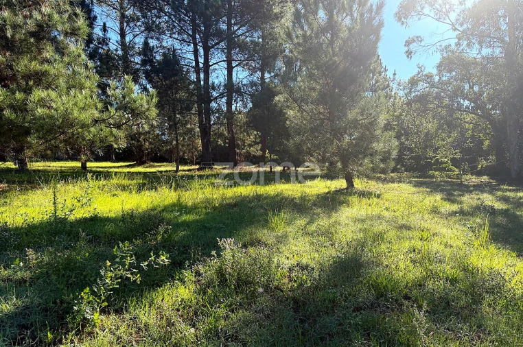Terreno para Venda em Gavião Foto 16
