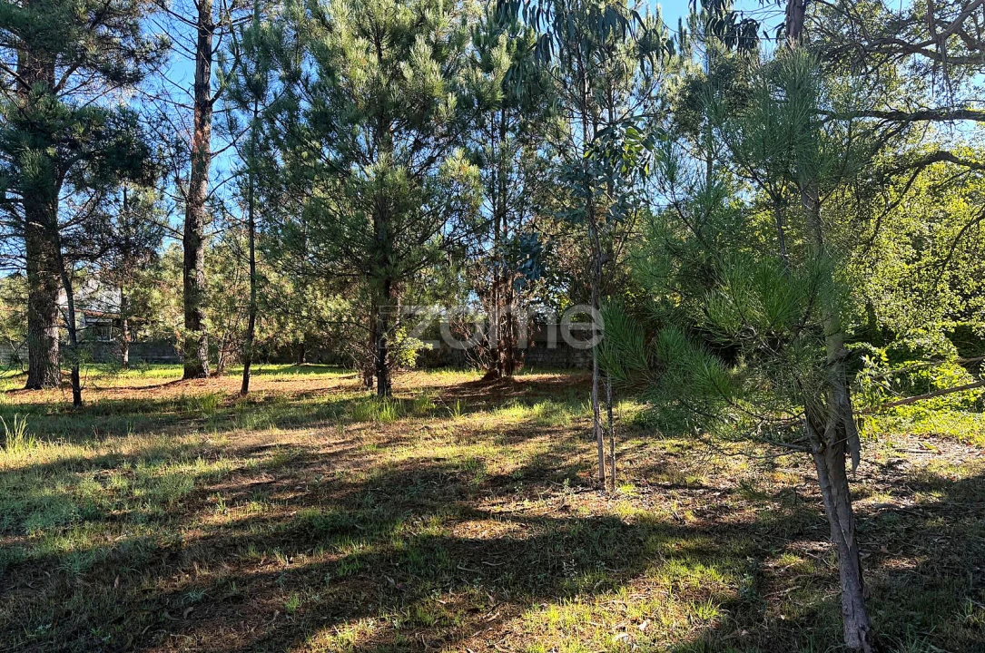 Terreno para Venda em Gavião Foto 25