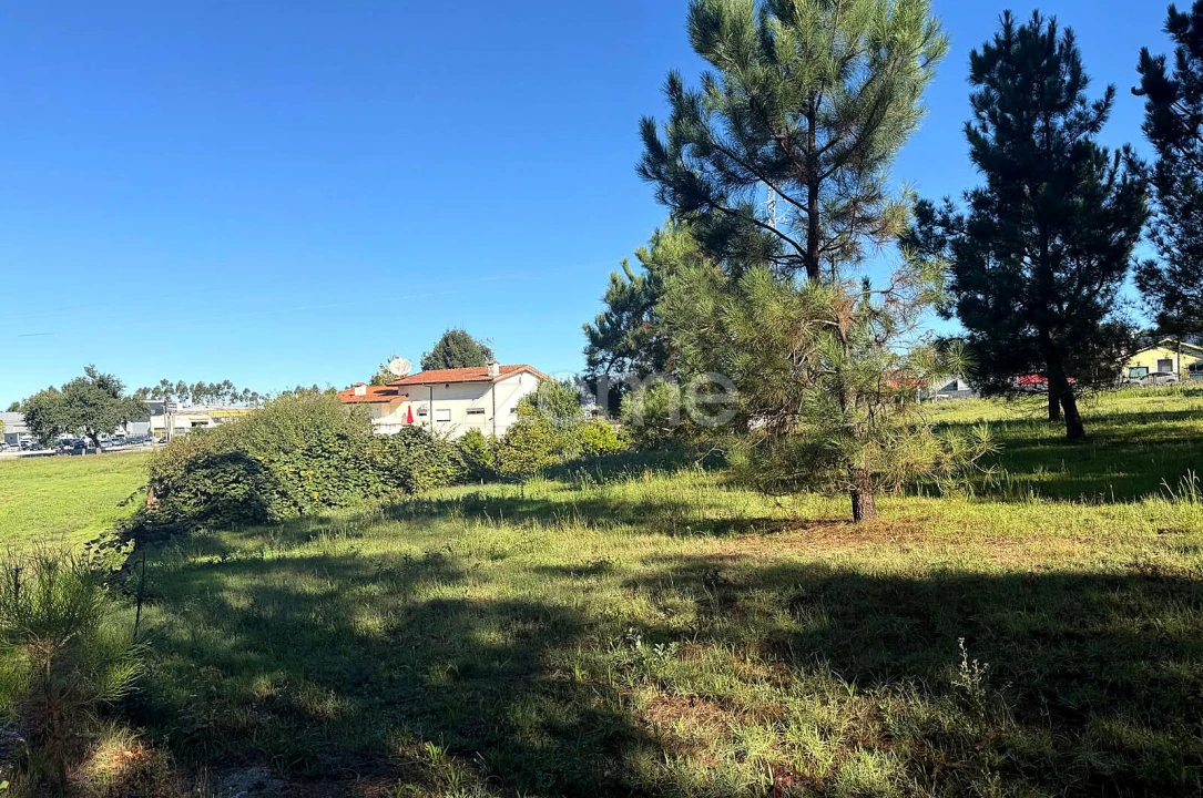 Terreno para Venda em Gavião Foto 14
