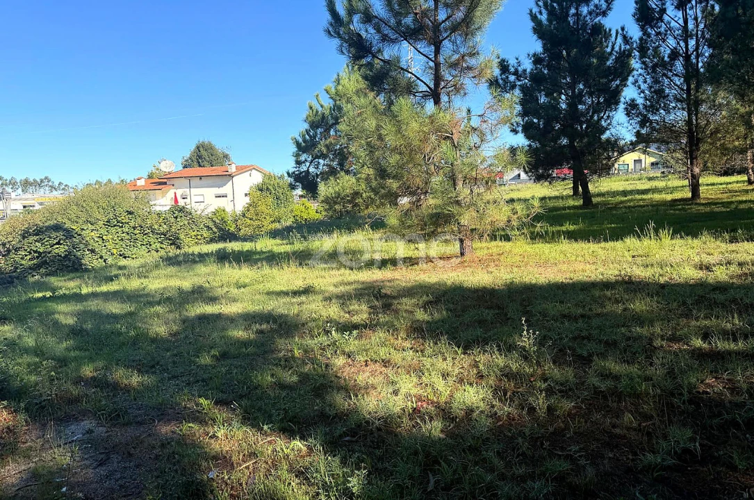 Terreno para Venda em Gavião Foto 9
