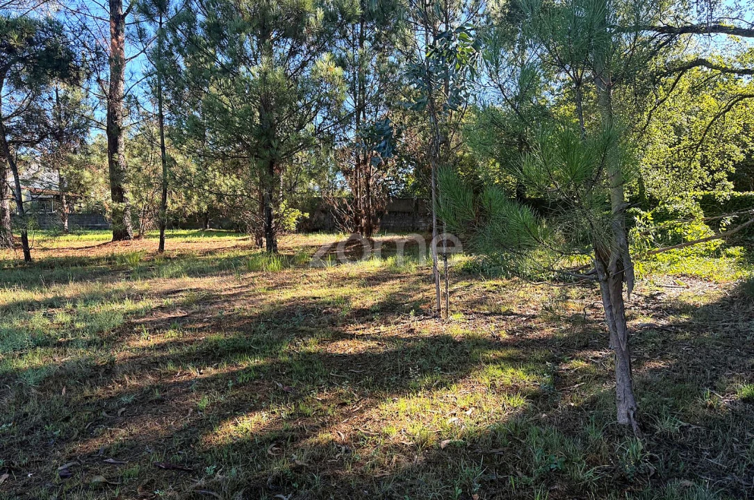 Terreno para Venda em Gavião Foto 10