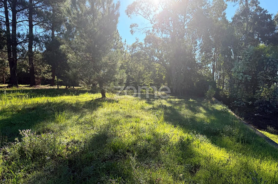 Terreno para Venda em Gavião Foto 7