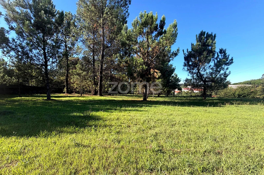 Terreno para Venda em Gavião Foto 3