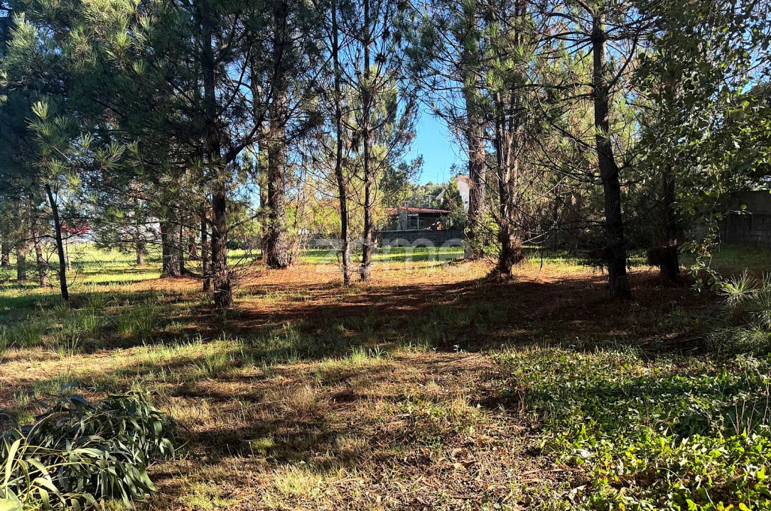 Terreno para Venda em Gavião Foto 15