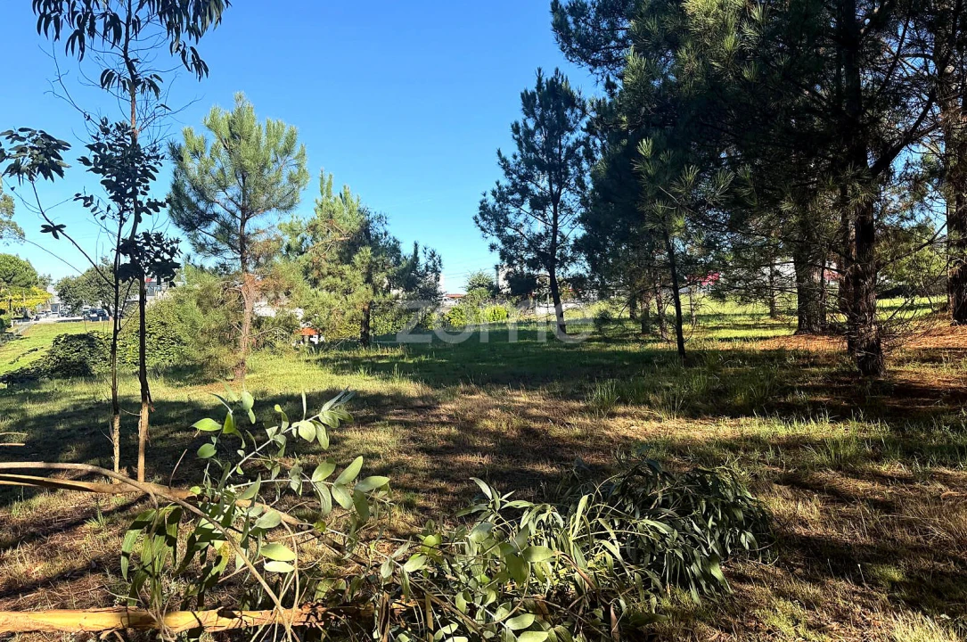 Terreno para Venda em Gavião Foto 13