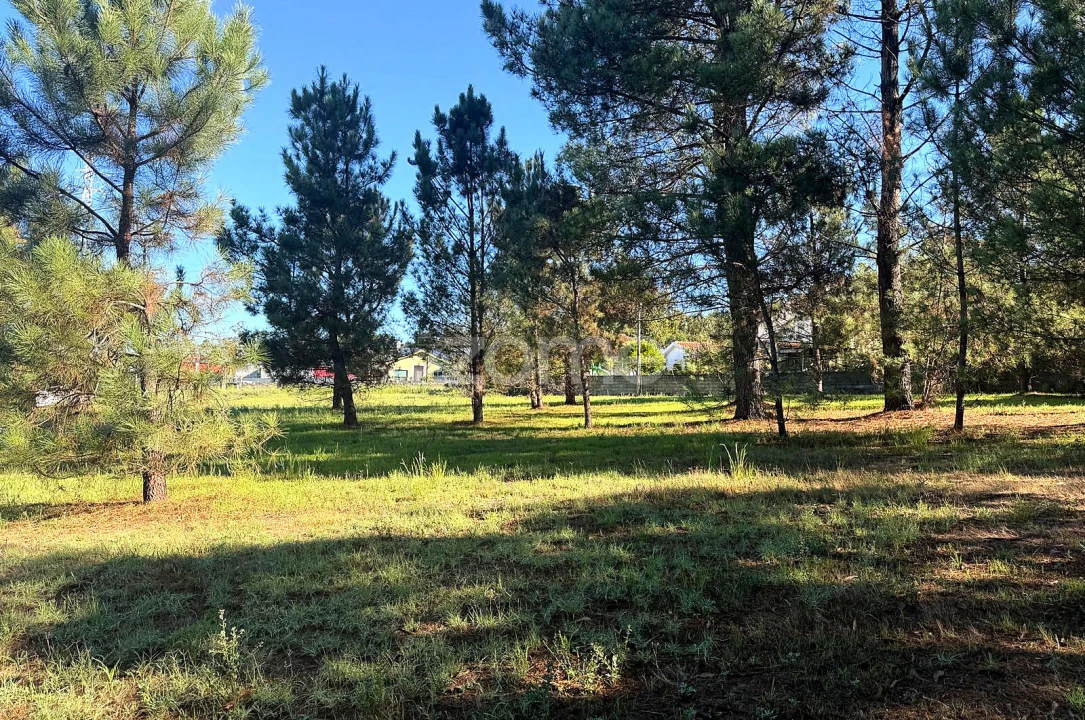 Terreno para Venda em Gavião Foto 12