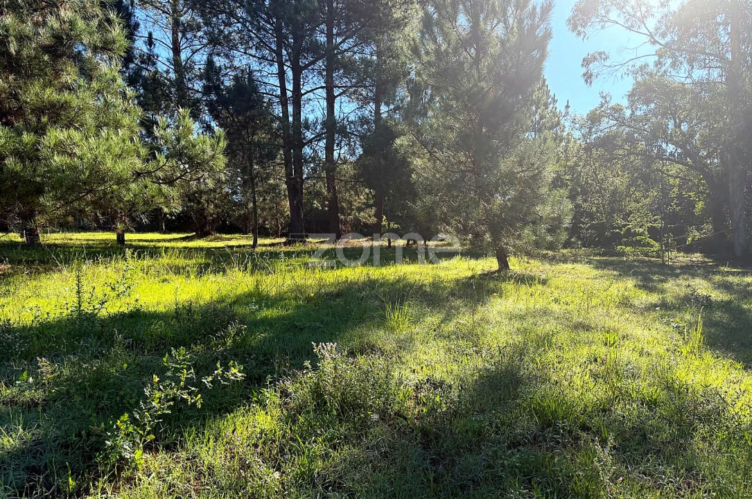 Terreno para Venda em Gavião Foto 16