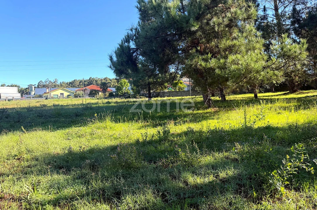 Terreno para Venda em Gavião Foto 17