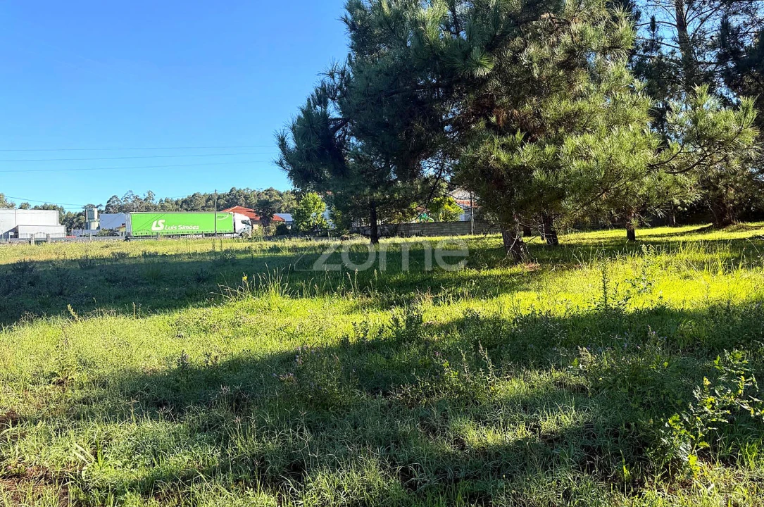 Terreno para Venda em Gavião Foto 19