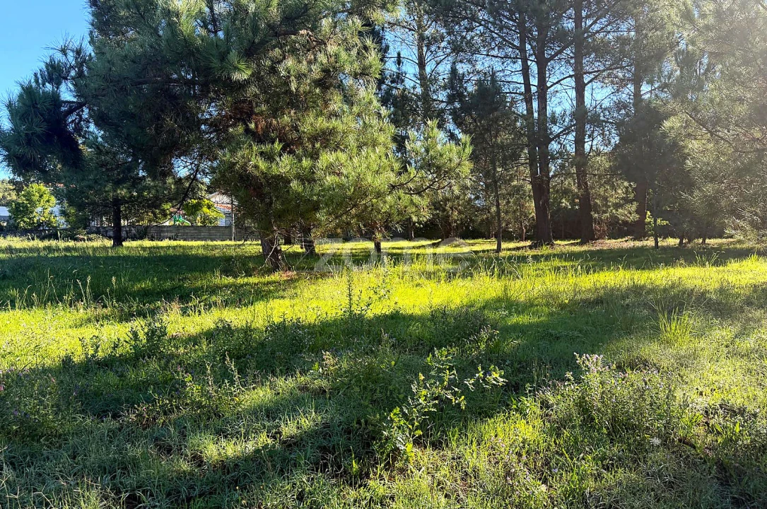 Terreno para Venda em Gavião Foto 20