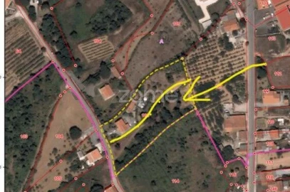 Terreno para Venda em Usseira
