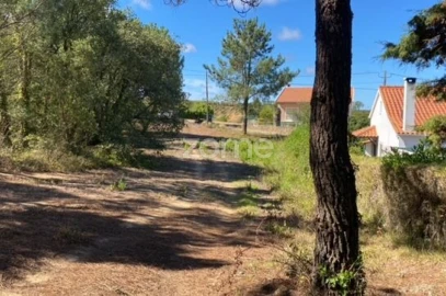 Terreno para Venda em Usseira