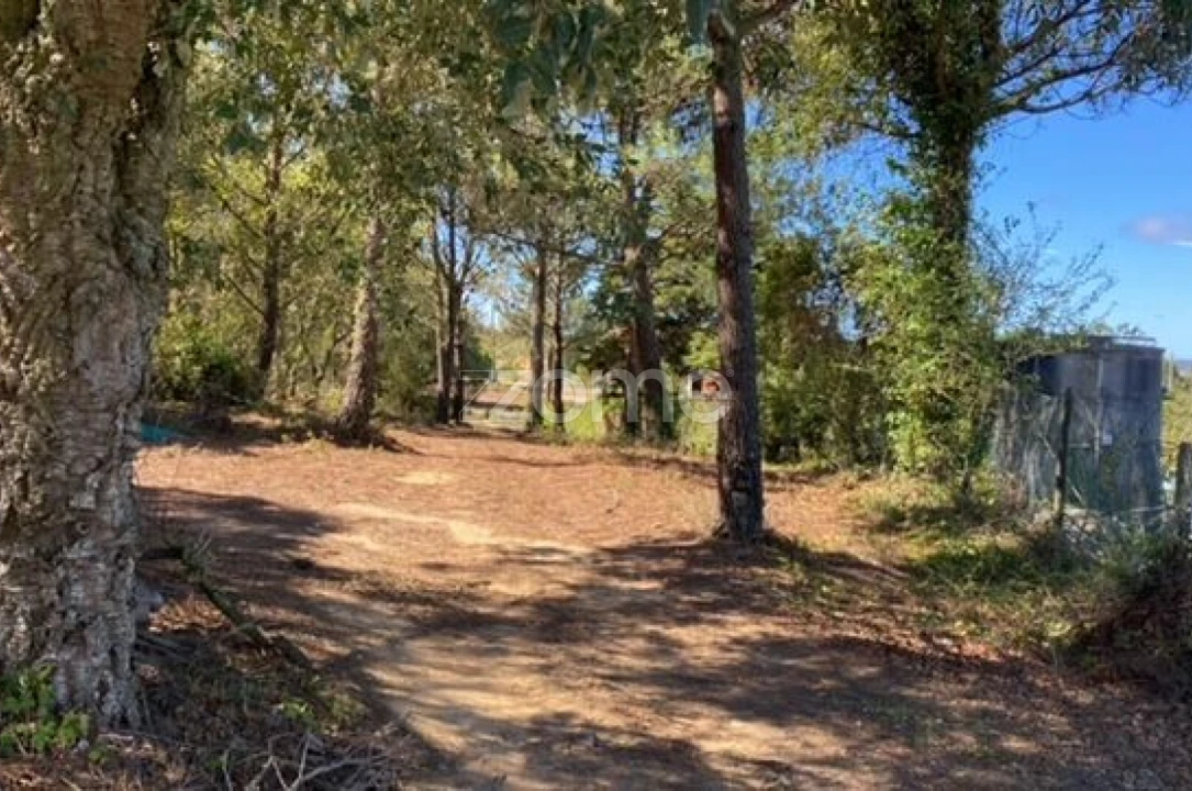 Terreno para Venda em Usseira Foto 1