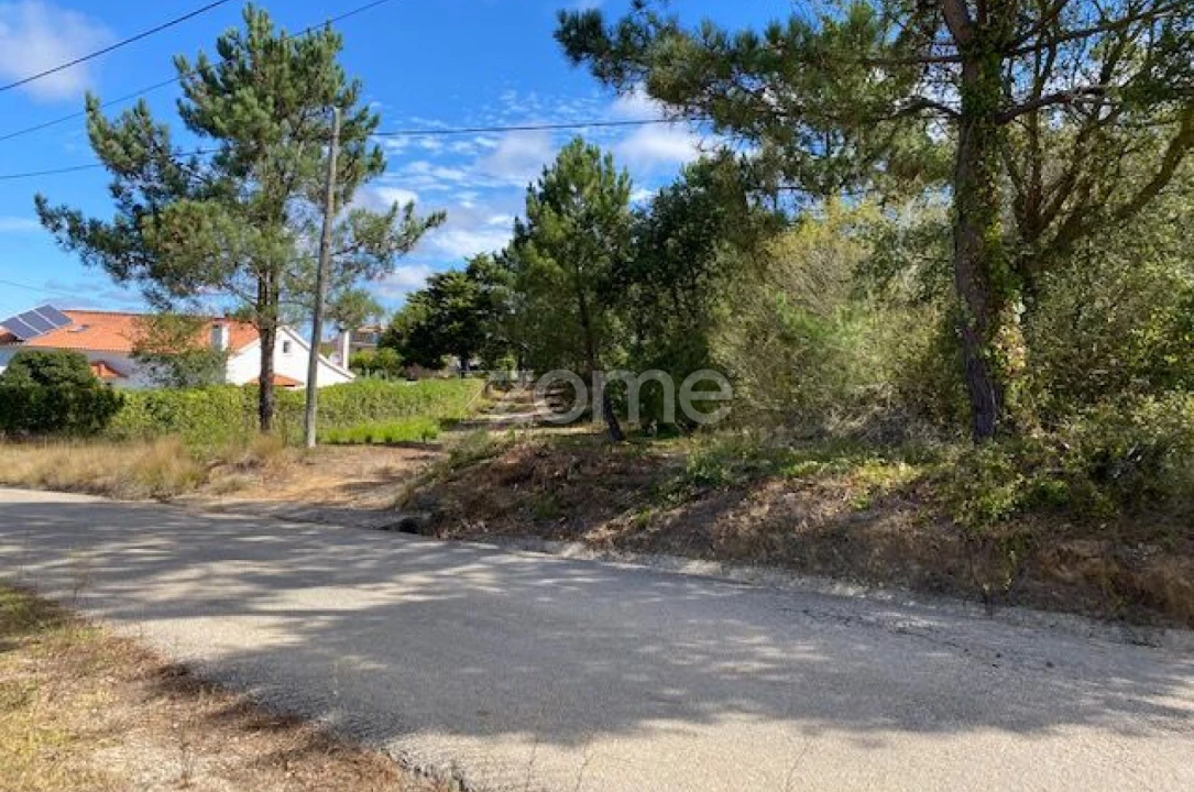 Terreno para Venda em Usseira Foto 6