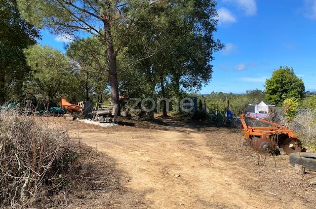 Terreno para Venda em Usseira Foto 7
