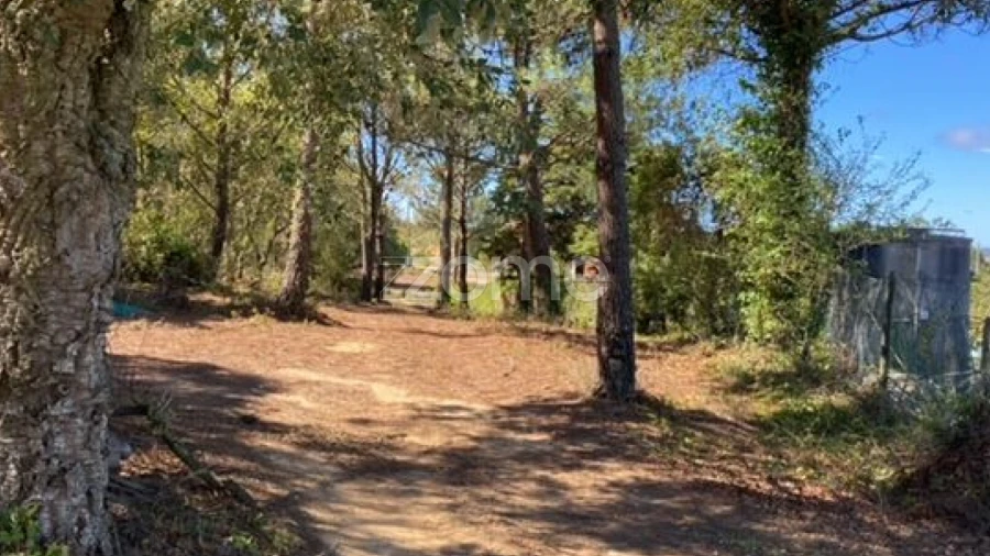 Terreno para Venda em Usseira