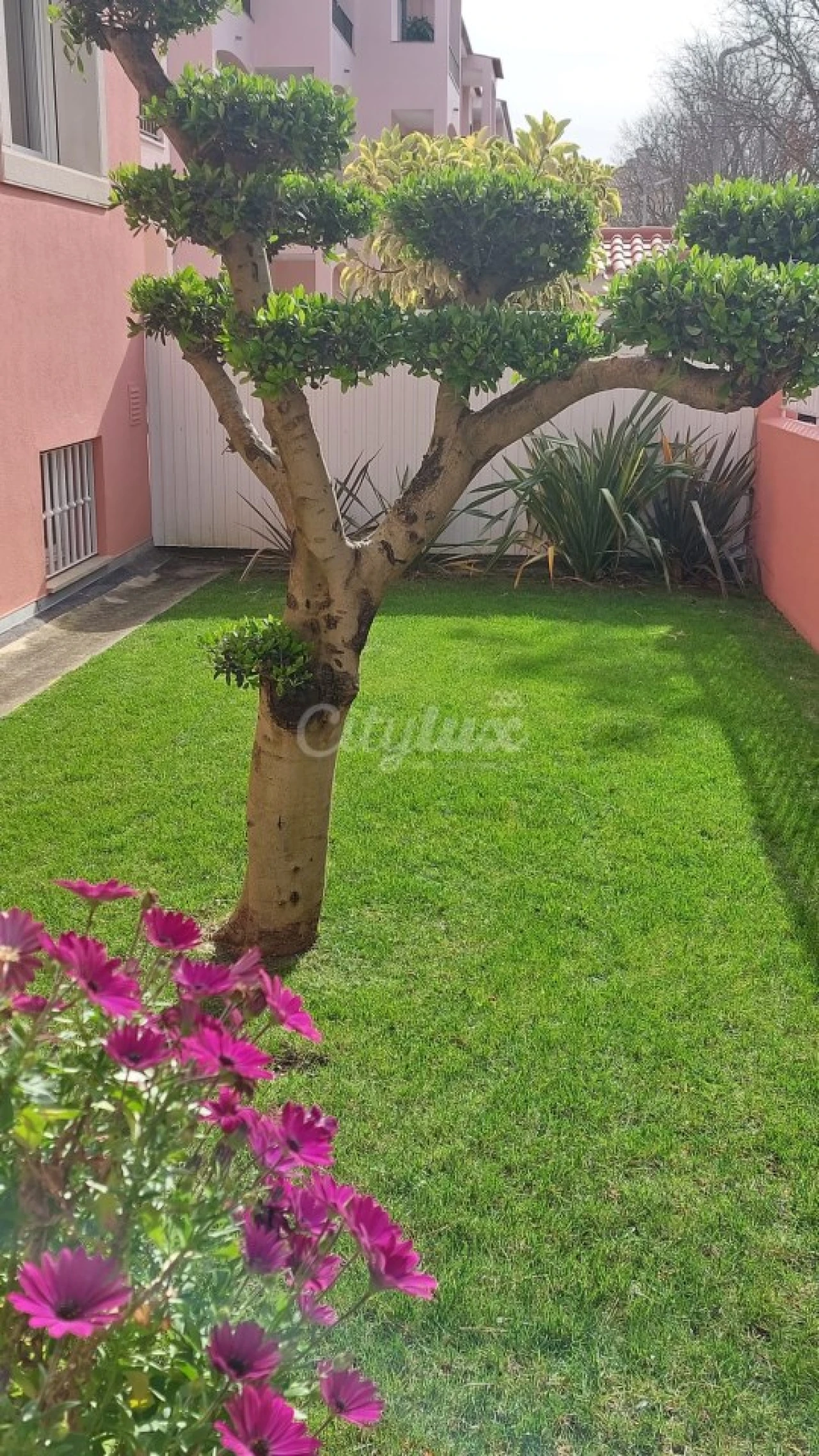 Apartamento T2 para Arrendamento em Cascais e Estoril Foto 32