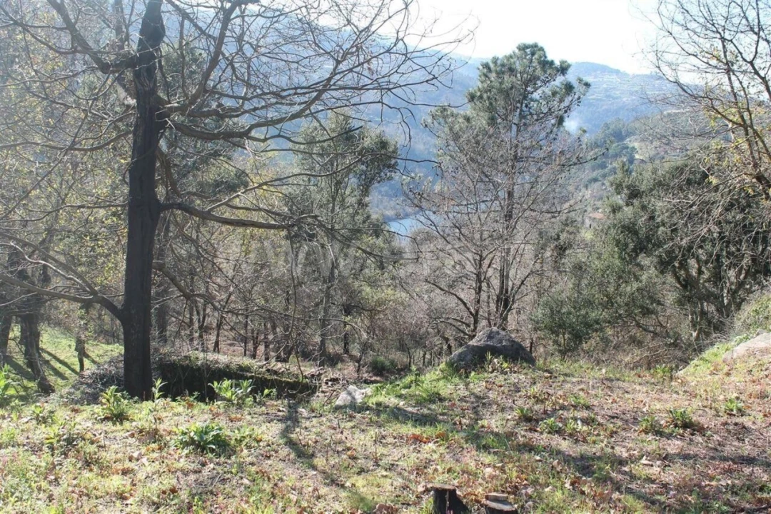 Terreno para Venda em Penhalonga e Paços de Gaiolo Foto 1