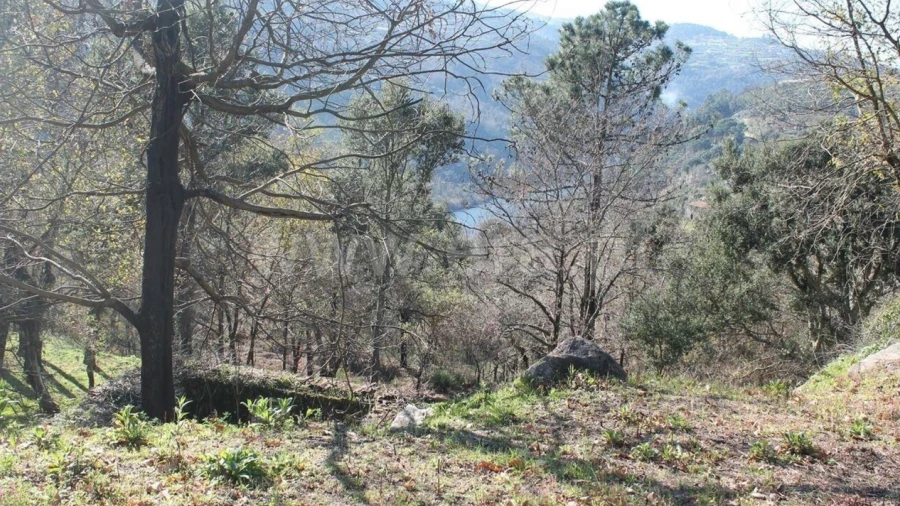 Terreno para Venda em Penhalonga e Paços de Gaiolo