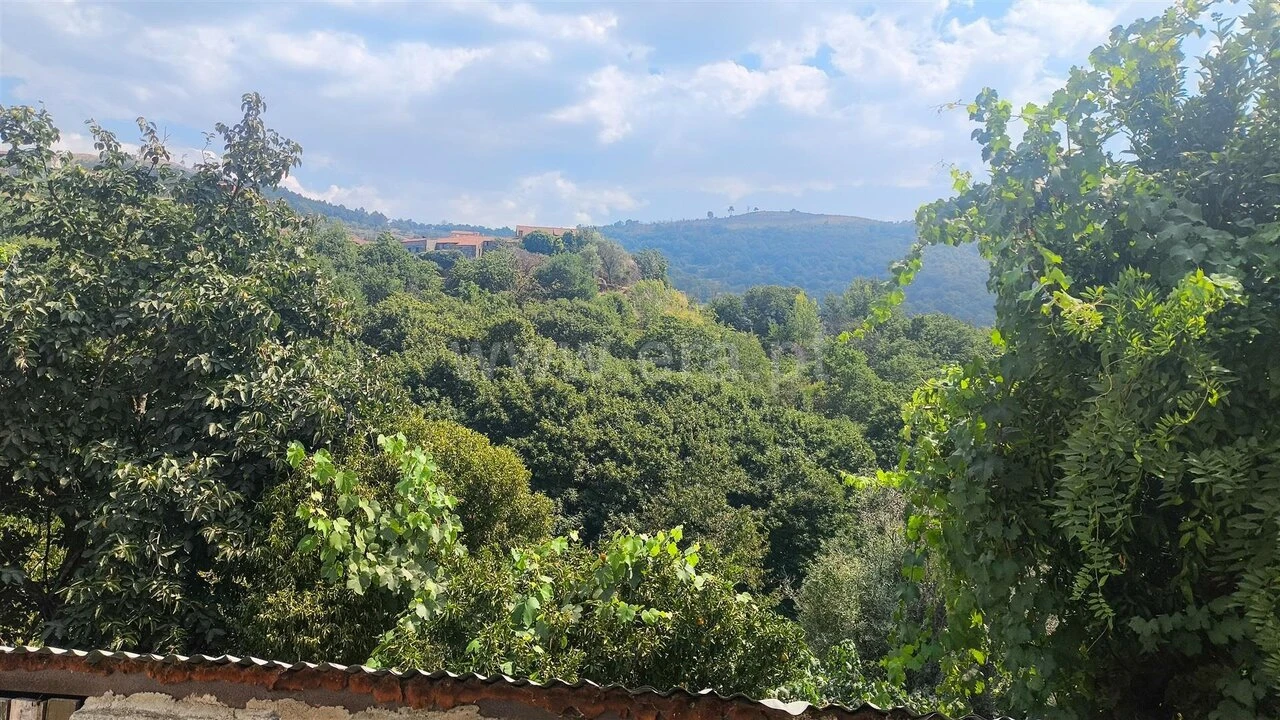 Moradia T2 para Venda em Anreade e São Romão de Aregos Foto 10
