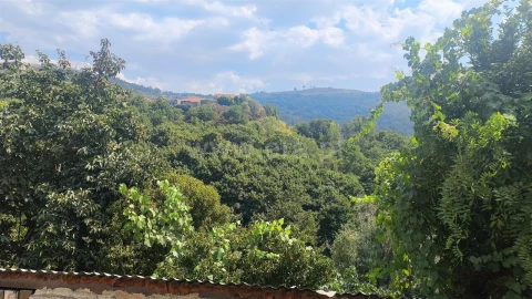 Moradia T2 para Venda em Anreade e São Romão de Aregos