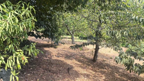 Moradia T2 para Venda em Anreade e São Romão de Aregos