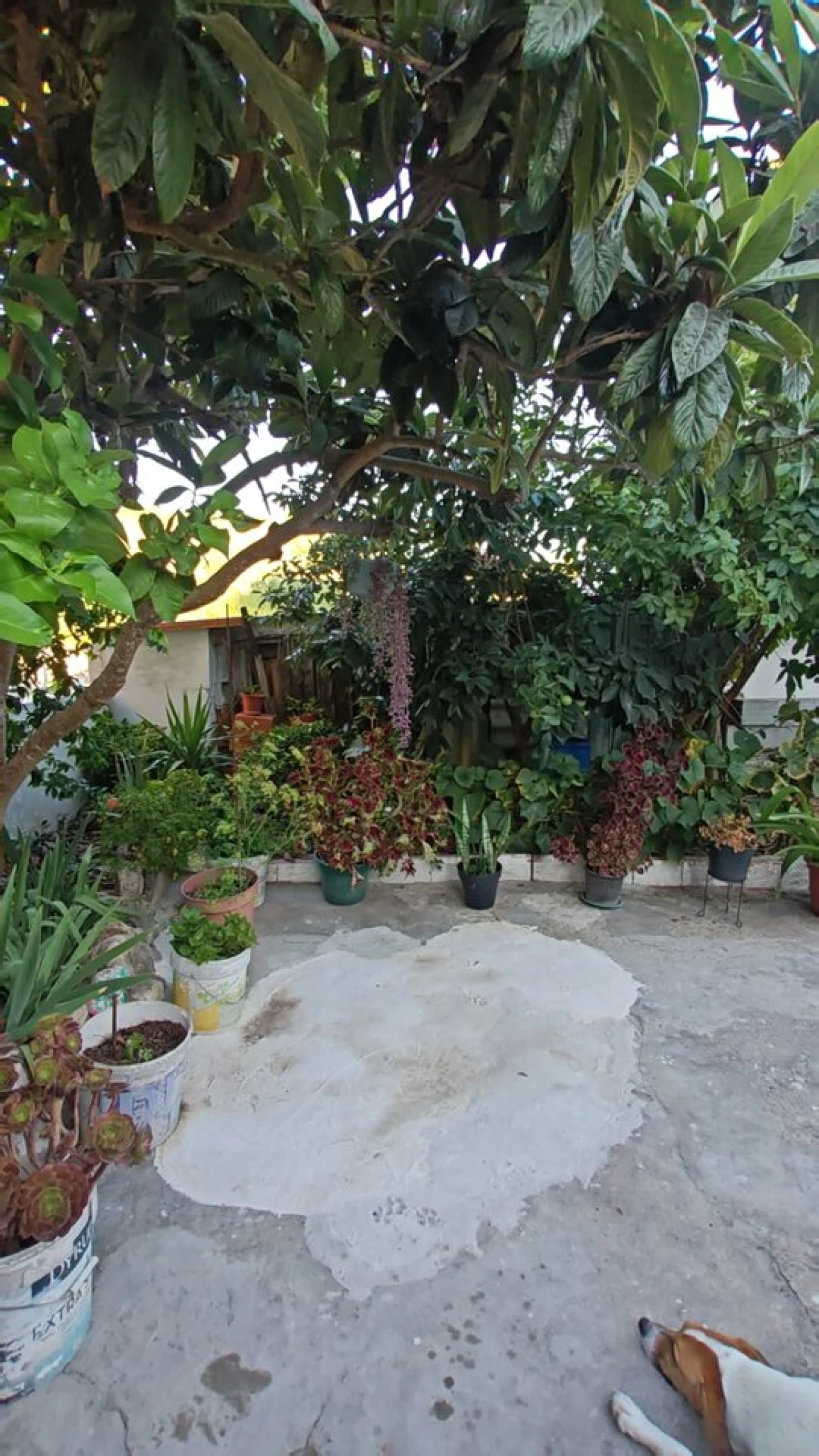 Moradia T1 para Venda em Marvila, Ribeira Santarém, São Salvador, São Nicolau Foto 14