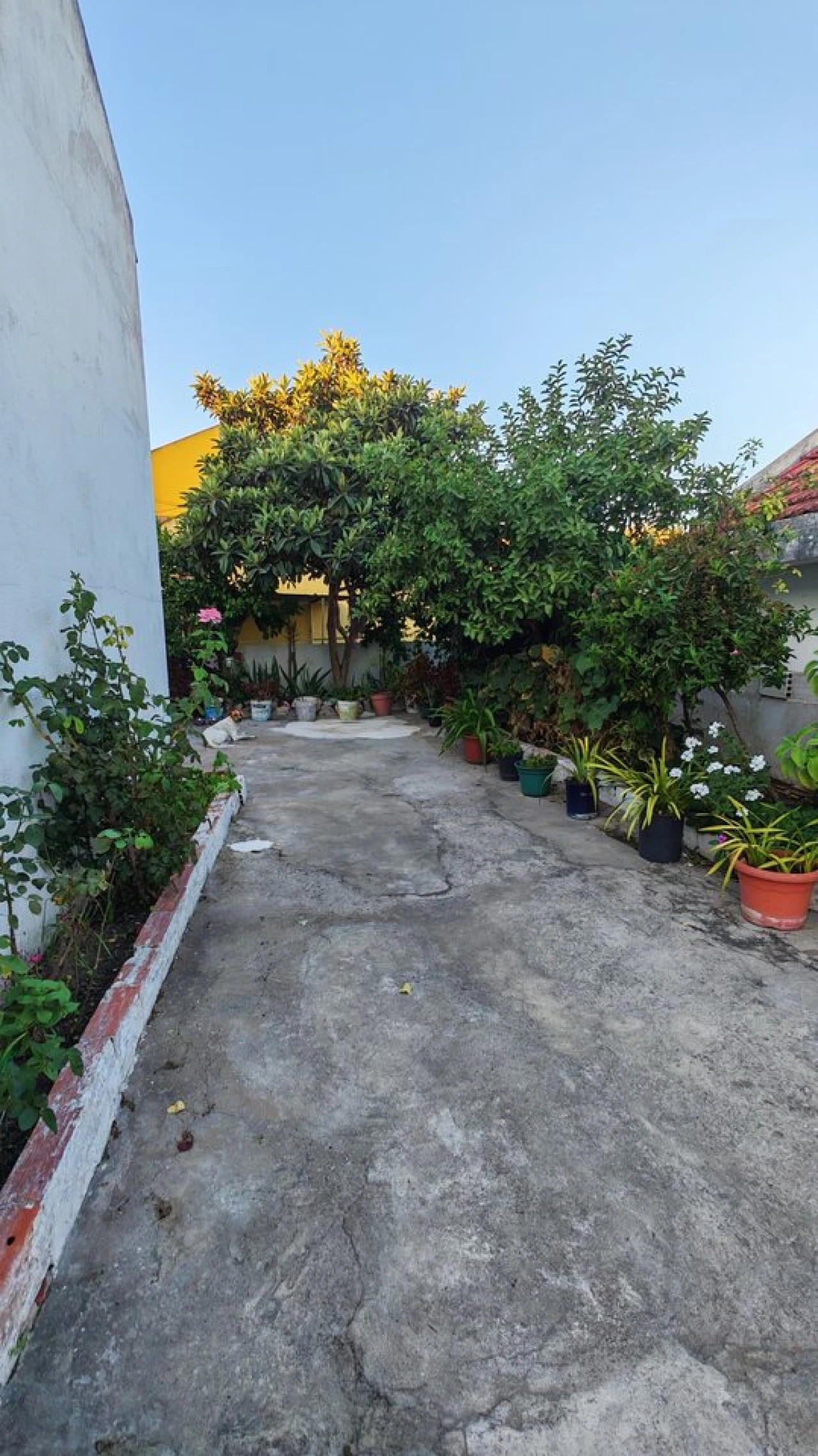 Moradia T1 para Venda em Marvila, Ribeira Santarém, São Salvador, São Nicolau Foto 16