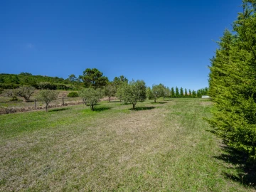 Moradia T5 para Venda em Famalicão