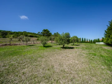 Moradia T5 para Venda em Famalicão