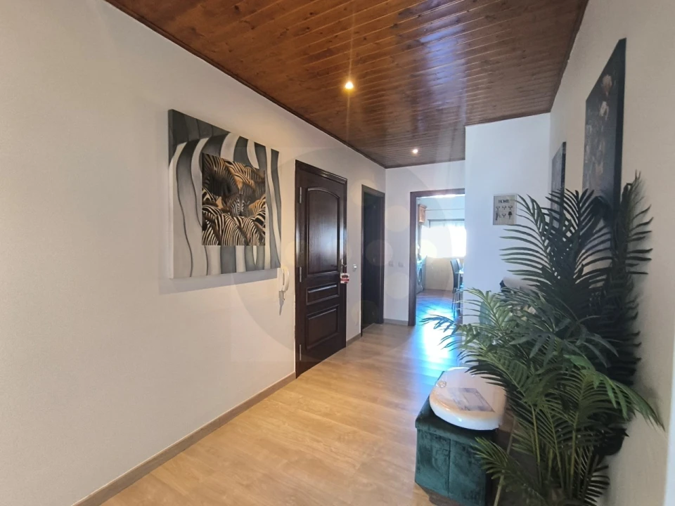 Apartamento T3 para Venda em São Miguel do Rio Torto e Rossio Ao Sul do Tejo Foto 5