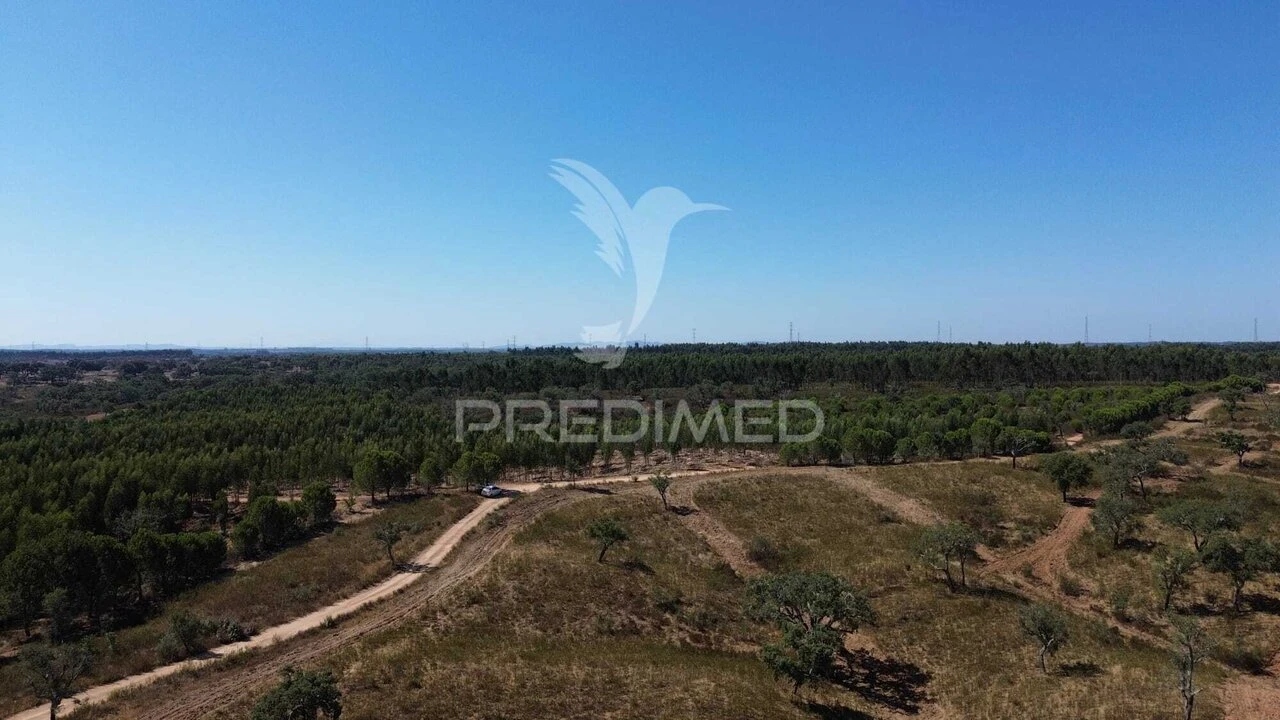 Quinta T0 para Venda em São Domingos e Vale de Água Foto 7