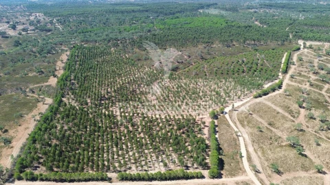 Quinta T0 para Venda em São Domingos e Vale de Água