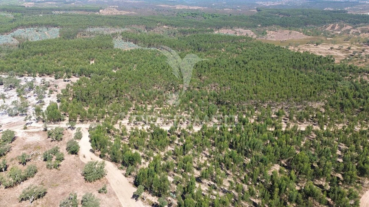 Quinta T0 para Venda em São Domingos e Vale de Água Foto 6