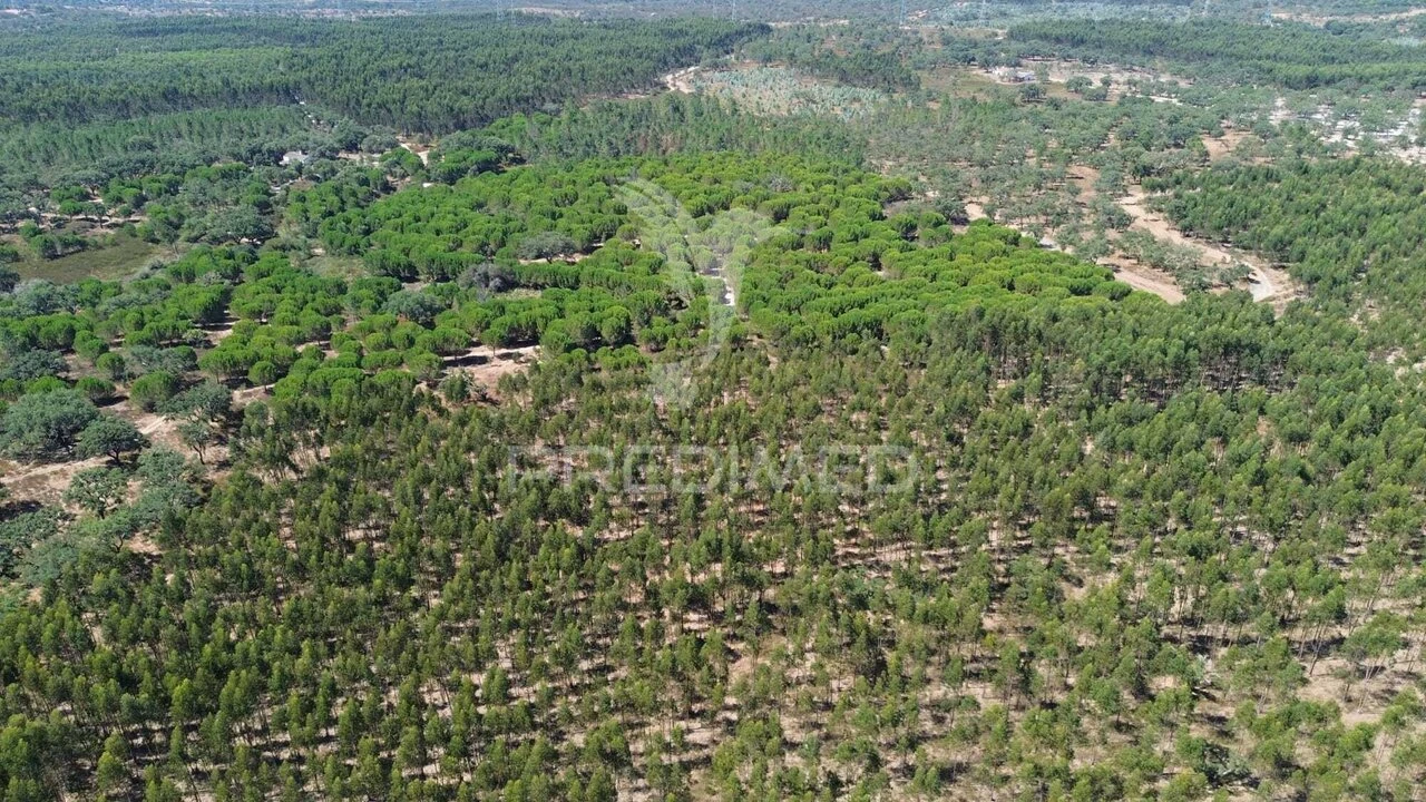 Quinta T0 para Venda em São Domingos e Vale de Água Foto 15