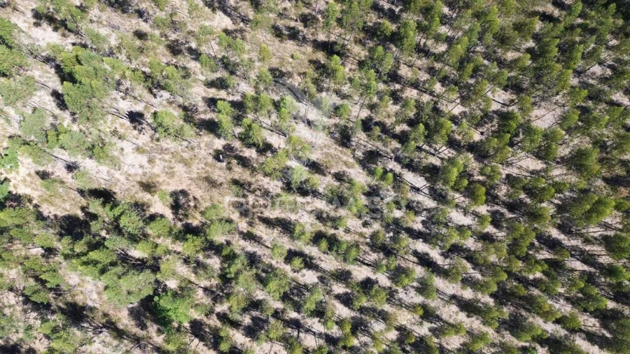 Quinta T0 para Venda em São Domingos e Vale de Água Foto 12