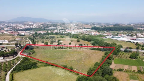 Terreno para Venda em Mirandela