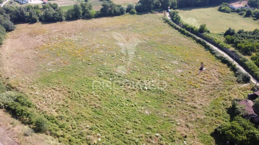 Terreno para Venda em Mirandela Foto 4